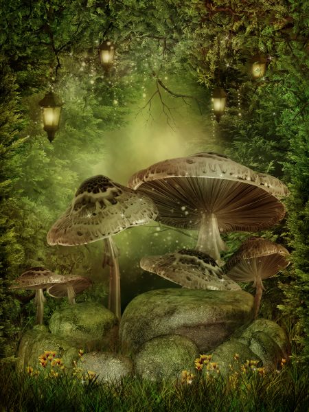 Фотообои Сказочные грибы