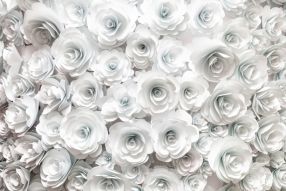 Фотообои Нежные белые розы 3d
