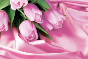 Фотообои Нежные тюльпаны в шелку 3d