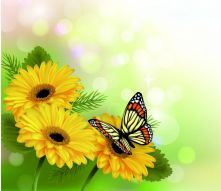 Фотообои Цветы и бабочка