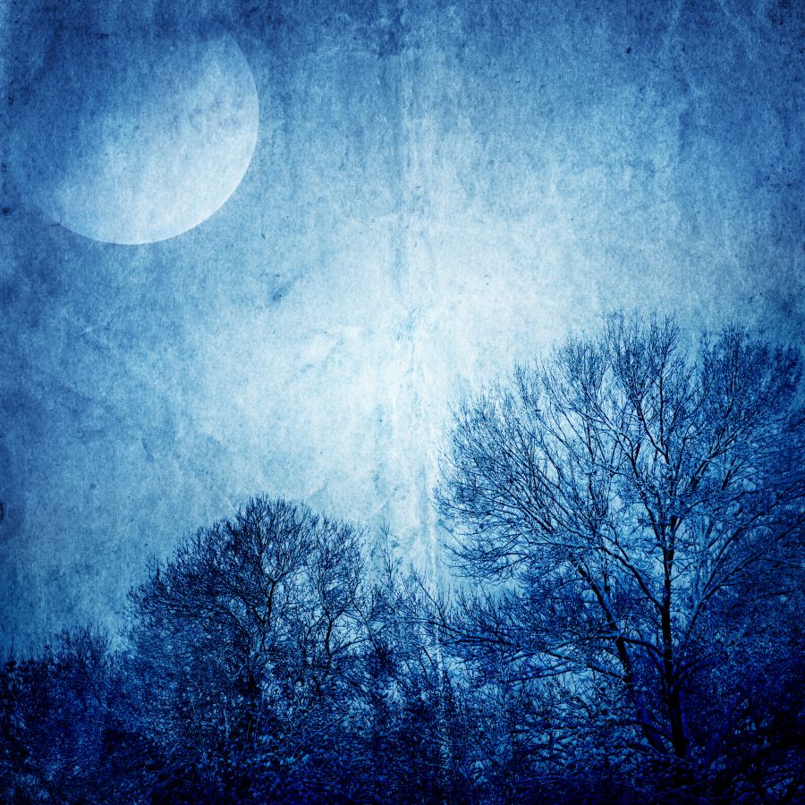 Фотообои Лунный свет рисунок синий