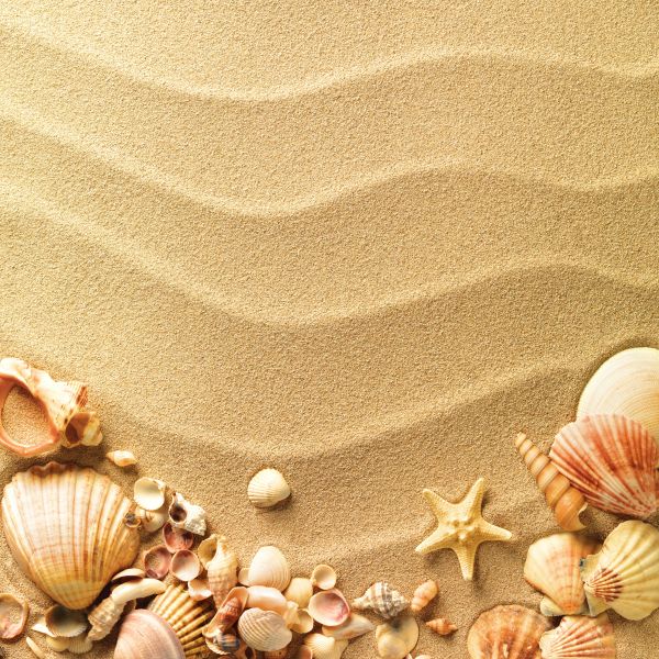 Фотообои Песок, ракушки