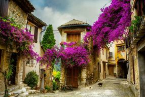 Фотообои Улица города с фиолетовыми цветами