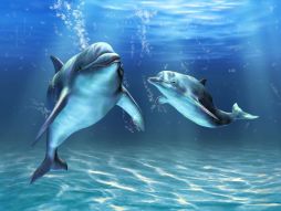 Фотообои Дельфины под водой