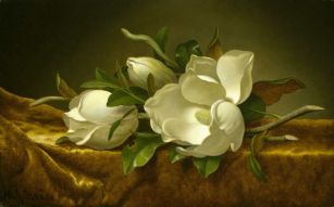Фреска Крупные белые цветы