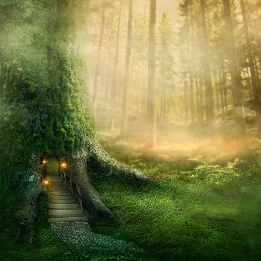 Фотообои Солнечный сказочный лес
