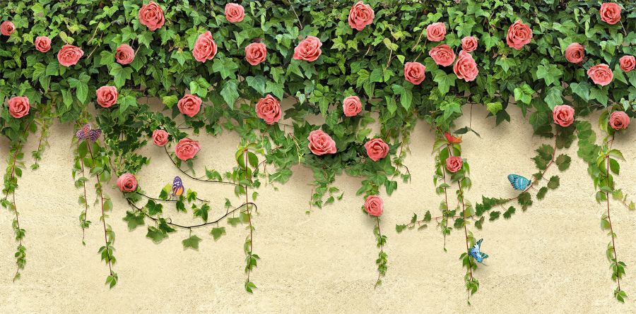 Фотообои 3D Розы оплетают стену