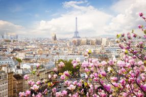 Фреска Цветущий Париж