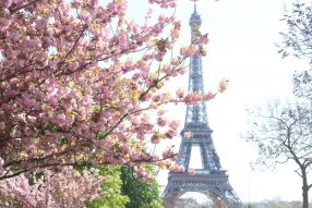 Фотообои Весна в Париже