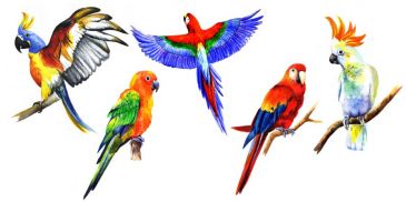 Фреска экзотические птицы