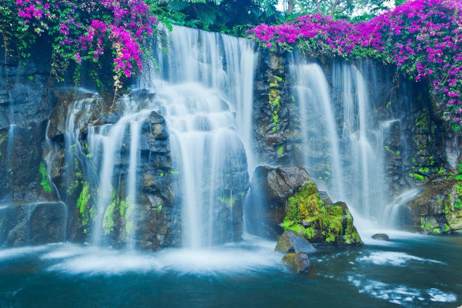 Фотообои Водопад с цветами