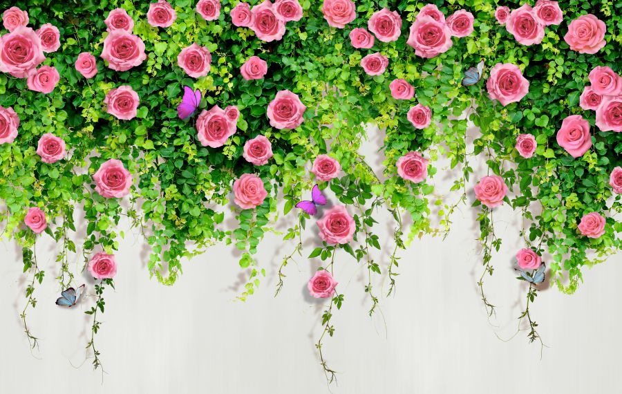 Фотообои Стена с цветами