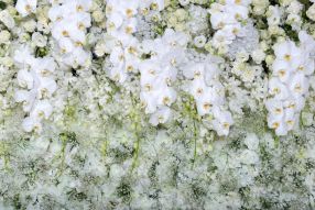 Фотообои Букет белых цветов