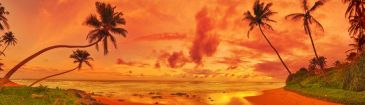 Фотообои Оранжевый закат