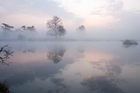 Фотообои Туман над озером