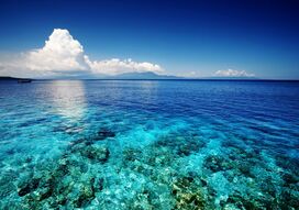 Фреска Голубое море