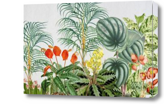 Картина Цветущие растения